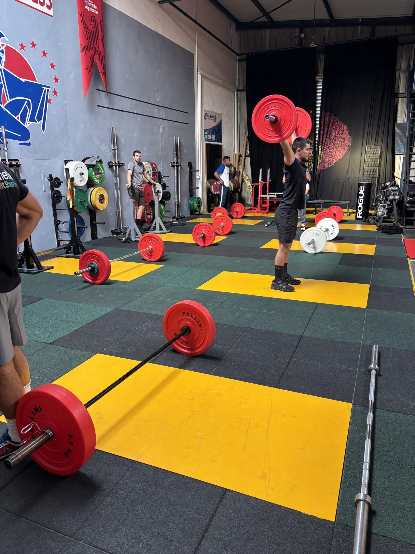 Matériel professionnel de cardio SkiErg Concept2 dans le centre de formation Eurofitness pour les formations BPJEPS et DEJEPS